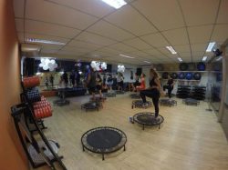 hammer aula