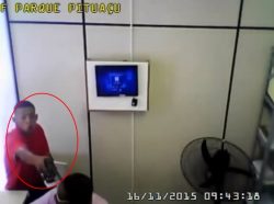 mortepmpituaçu
