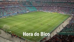 bavi