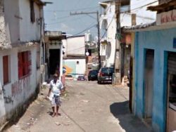 340x255_narandiba_1627542