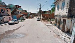 650x375_avenida-peixe_1627918