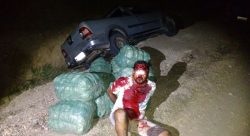 1-26 (2)