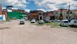 650x375_massaranduba_1632596