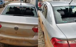 94582cats_carro