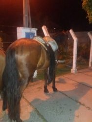 IMG-20160522-WA0000