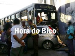 buzu2