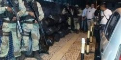 cipe_maconha_lauro1site
