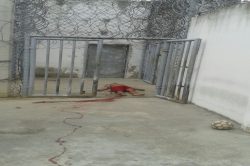 grande-rebeliao-detento-tobias-barreto09052016 (6)