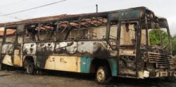 onibus-348x172