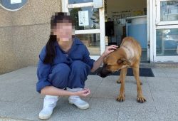 veterinaria
