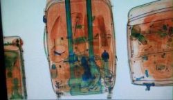 290x167_droga-foi-localizada-pela-policia-federal-quando-as-malas-passavam-pelo-raiox-do-aeroporto_1647388