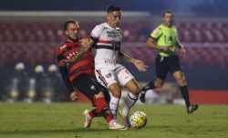 IMAGEM_NOTICIA_3