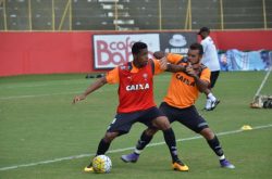 IMAGEM_NOTICIA_3