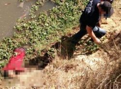 IMAGEM_NOTICIA_5