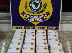 IMAGEM_NOTICIA_5 (2)
