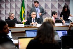 imagem_materia
