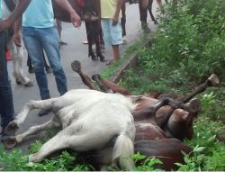 001 (164)