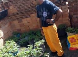 IMAGEM_NOTICIA_5