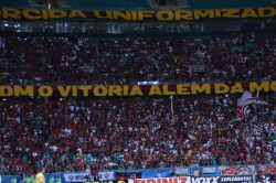 imagem_noticia_3
