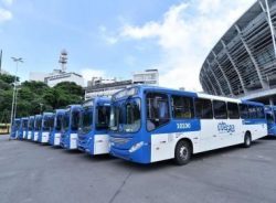 imagem_noticia_5-5