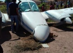 imagem_noticia_5-11