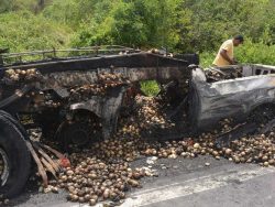 acidentejagua3