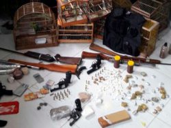 apreensao_armas