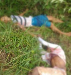 corpos_sao_encontrados_em_matagal_orobo
