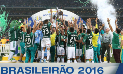 palmeiras