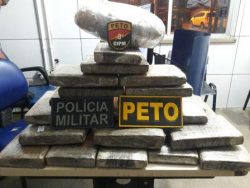 peto8cipm
