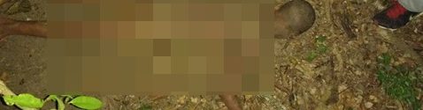 15491895_914811215319394_1975731974_o