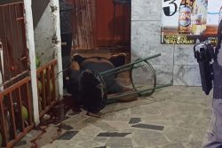 negui1