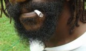 rasta