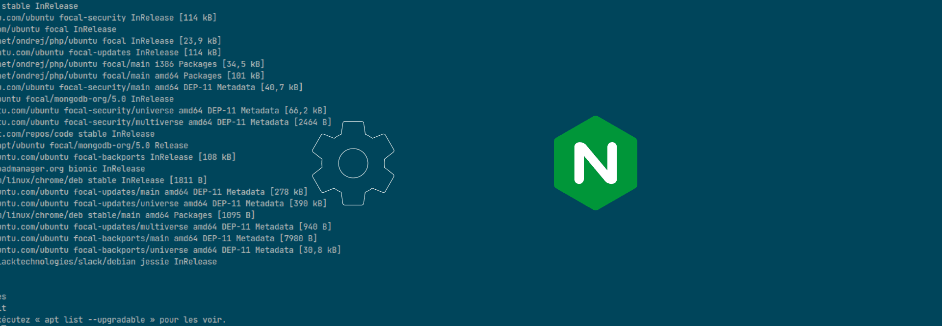 Installation de Nginx sur linux - Banner