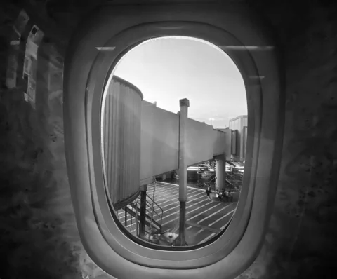 ✈️🌎