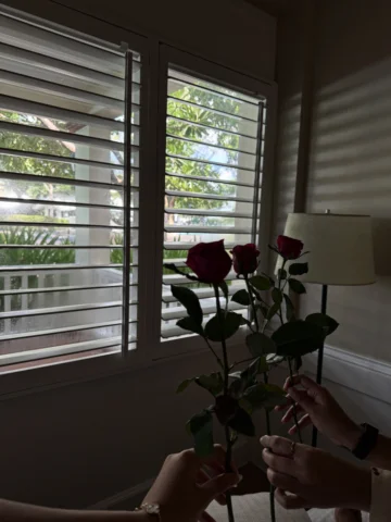A week in Cebu