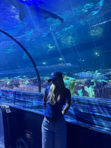 @seaworldorlandobr dayy🩵🪼
.
.
.
@roteirovip sempre nos proporcionando o melhor