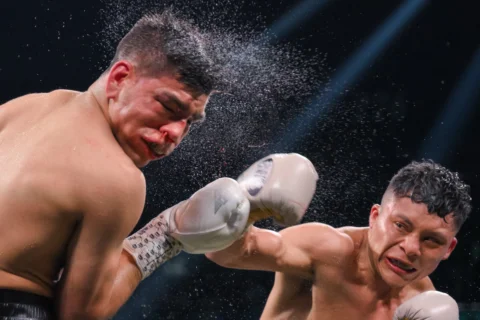 El Pitbull vuelve en septiembre. Prepárense. ⏳ #boxeo