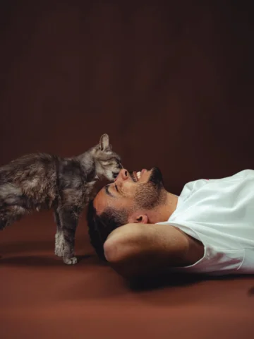 Je vous présente la nouvelle de la famille, Ymir 🐱
Histoire très touchante d’un