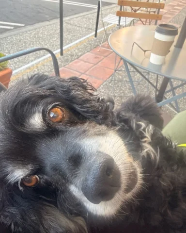 A glamour shot after a nice walk to coffee.