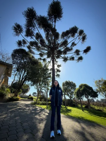 Resista como uma araucária🌳 E aqui estamos, mais de 4 décadas juntas🫶