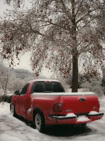 Look at Big Red thriving through this snow storm