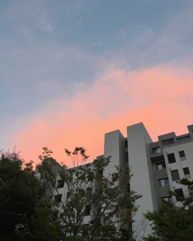비만오면 머리가 뽀그리라니..