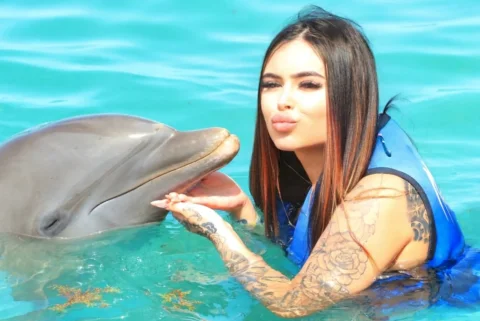🐬🥹🩵