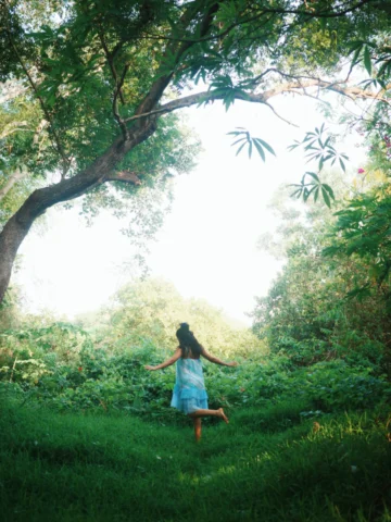 In honour of the forest I get to call home 🌿🪲

Photographed by @textbookmarlec