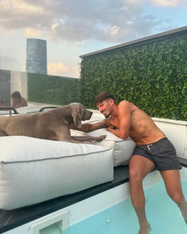 🌅🐶❤️