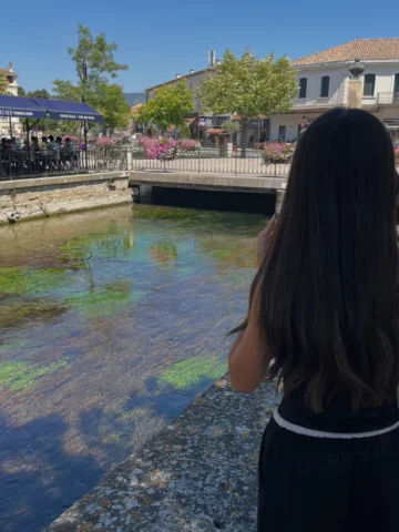 ☀️🌺