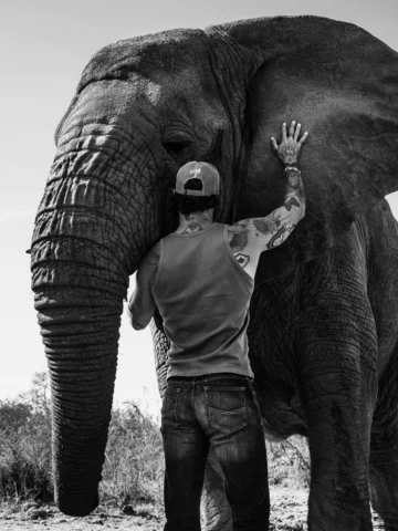 The greatest lessons aren’t spoken. They’re felt… in the presence of giants. 🐘
