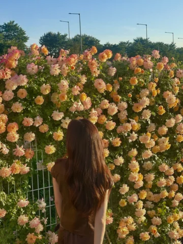 안녕하세요 강냉 여러분 펀치입니다:) 10년 넘는 시간동안 함께 했던 회사를 떠나 새로운 시작을 해보려고 합니다 많은 응원 부탁드려요 사랑해요 