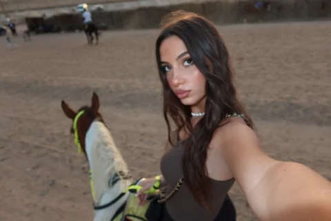 🐴🌅✨